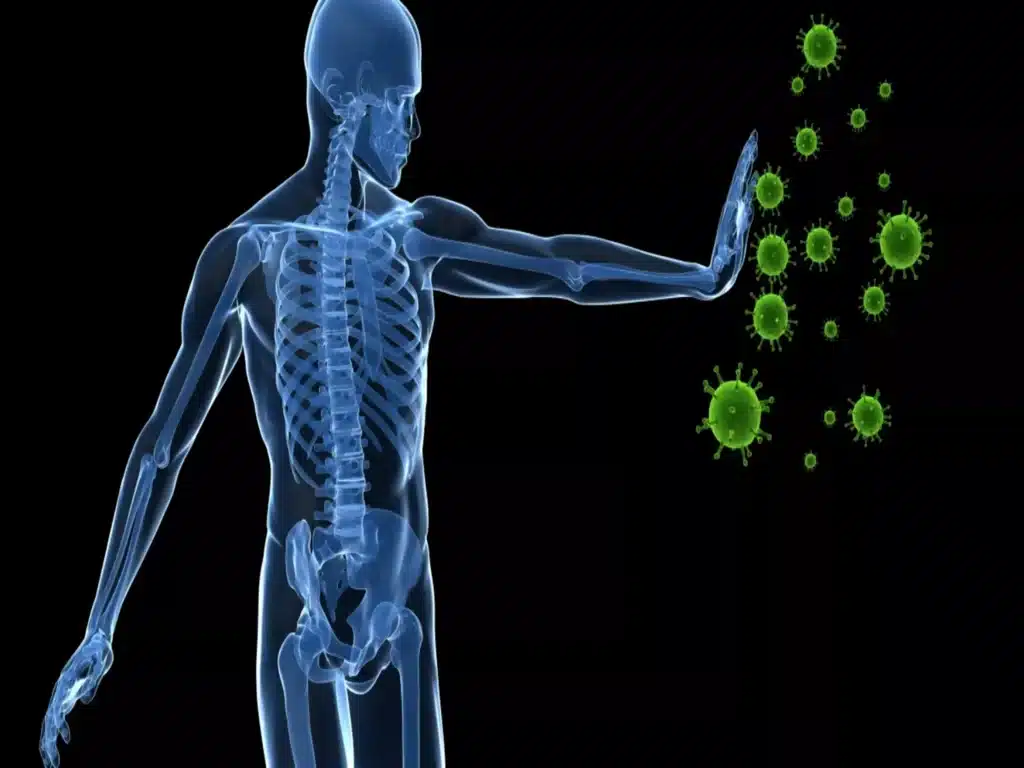 Immunité Mushngo pour un renforcement immunitaire