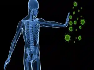 Immunité Mushngo pour un renforcement immunitaire