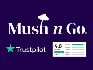 Les avis utilisateurs de Mushngo Trustpilot