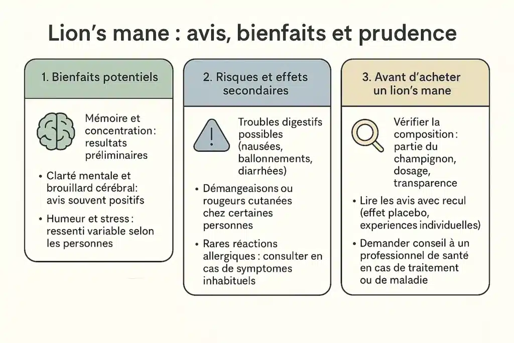 Lion's mane avis : retour des études, des utilisateurs et points de vigilance 6 Infographie en français résumant les avis sur le lion's mane, ses bienfaits potentiels, ses risques et les points de prudence avant d’acheter ce complément.